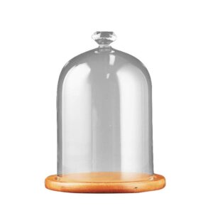 Cocktails Smoke Infuser Cover Acrylic with wood  Base